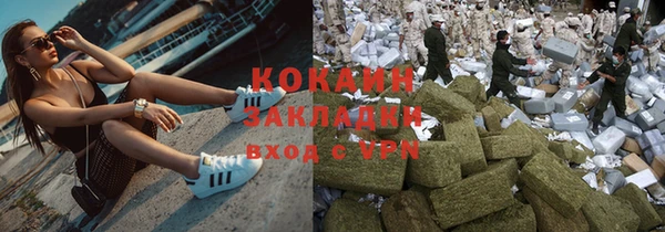 ПСИЛОЦИБИНОВЫЕ ГРИБЫ Бородино