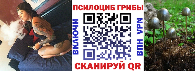 Галлюциногенные грибы Cubensis Дятьково