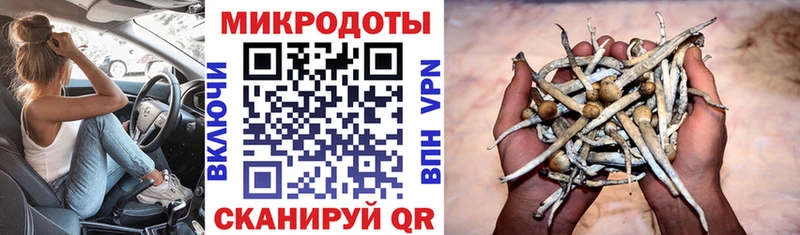 наркошоп  Дятьково  Псилоцибиновые грибы Psilocybine cubensis 